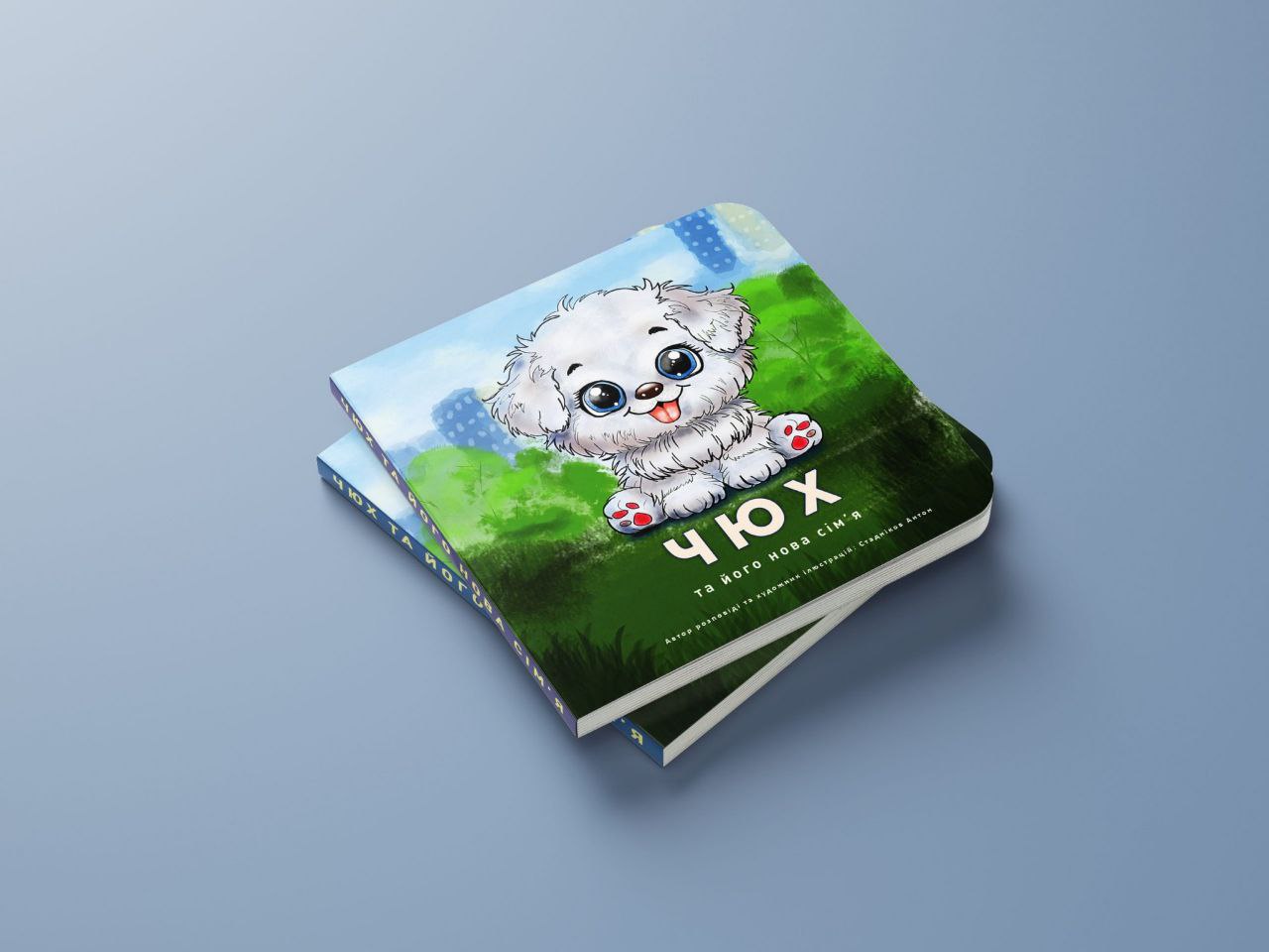 cover for the illustrated book "Chuh" Авторска ціфрова іллюстрація | General Graphics® Автор та художник Стадніков Антон